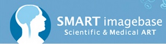 Smart imagebase