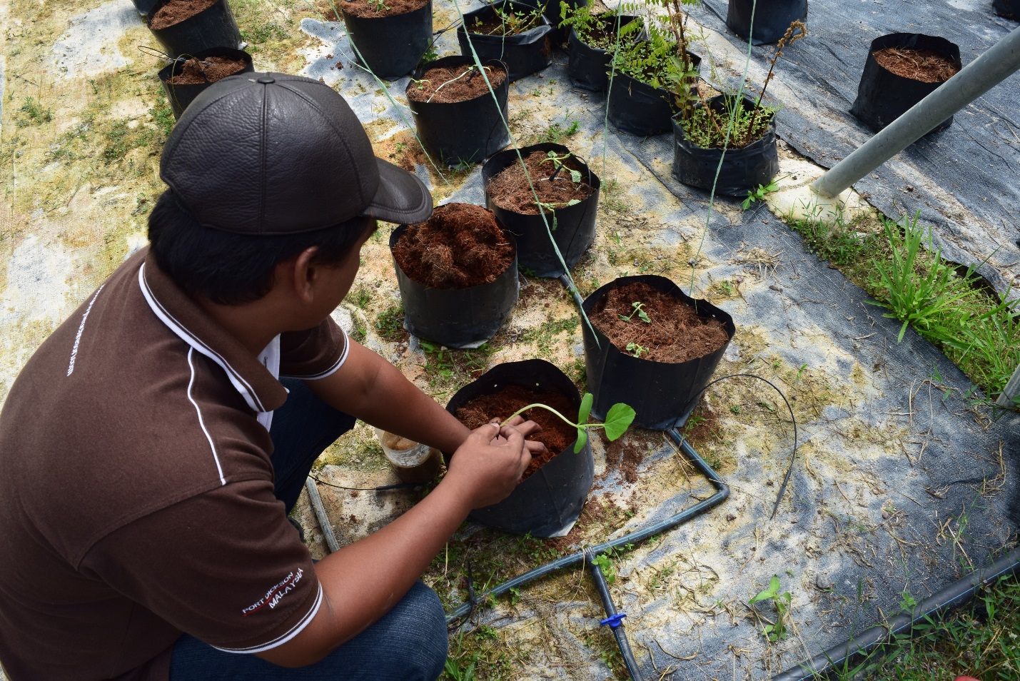 Mentoring and One on One CSR - Farm Care
