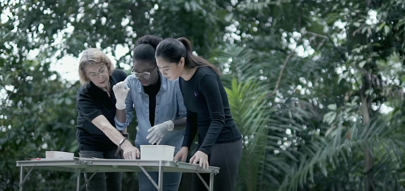 Tropical biology