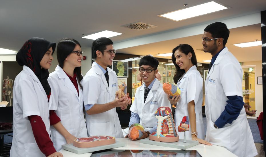monash school of medicine