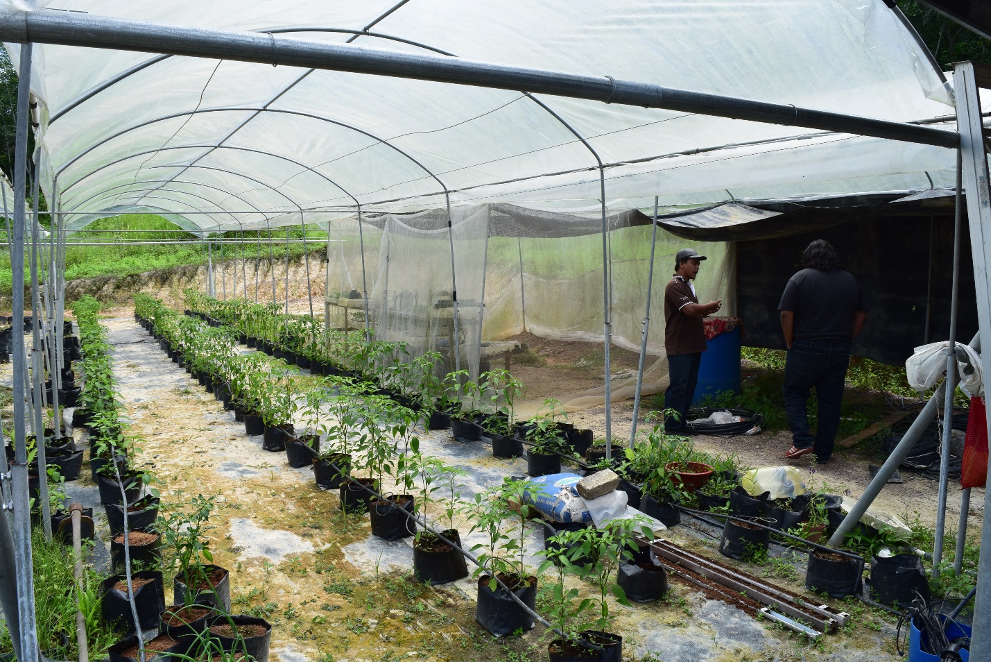 Mentoring and One on One CSR - Farm