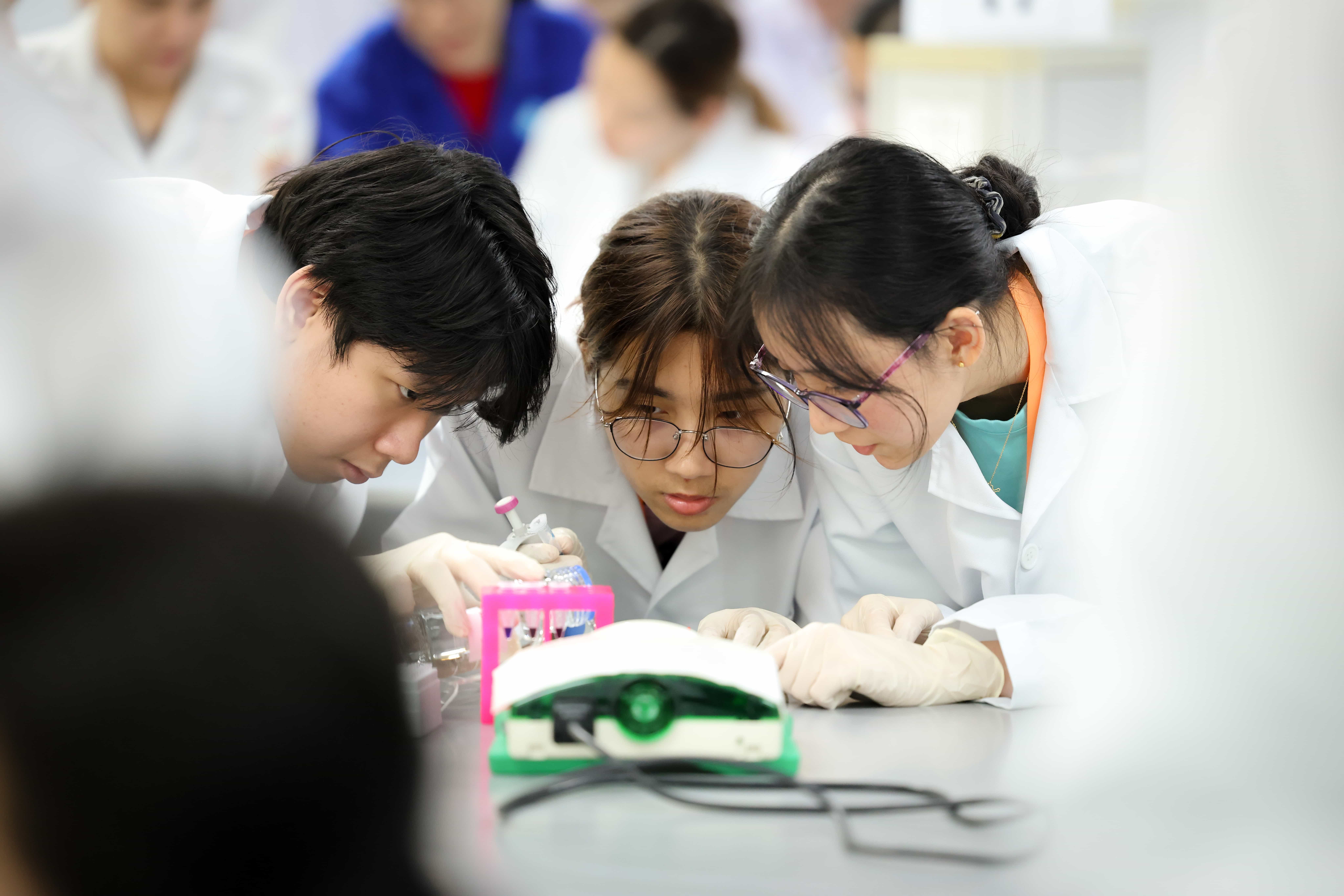 student electrophoresis