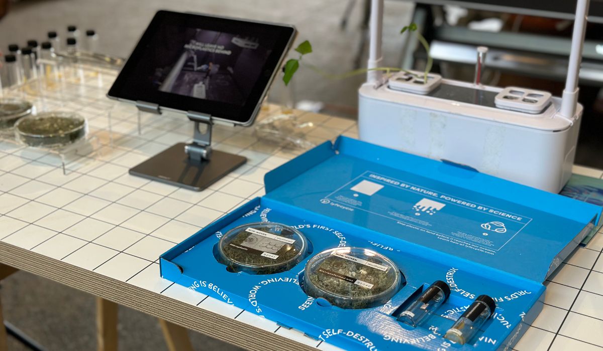 samples on display