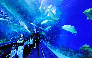 Aquaria KLCC
