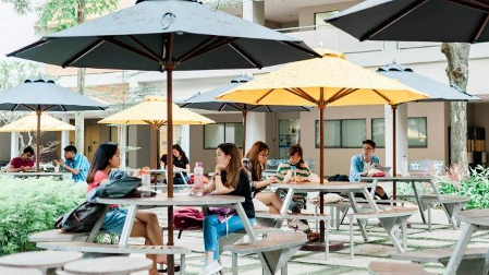 monash cafe